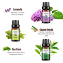 Óleos Essenciais para Aromaterapia 100% Naturais, Kit com 6 Unidades