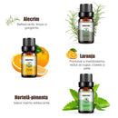 Óleos Essenciais para Aromaterapia 100% Naturais, Kit com 6 Unidades